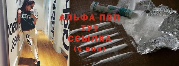 PSILOCYBIN Лабытнанги